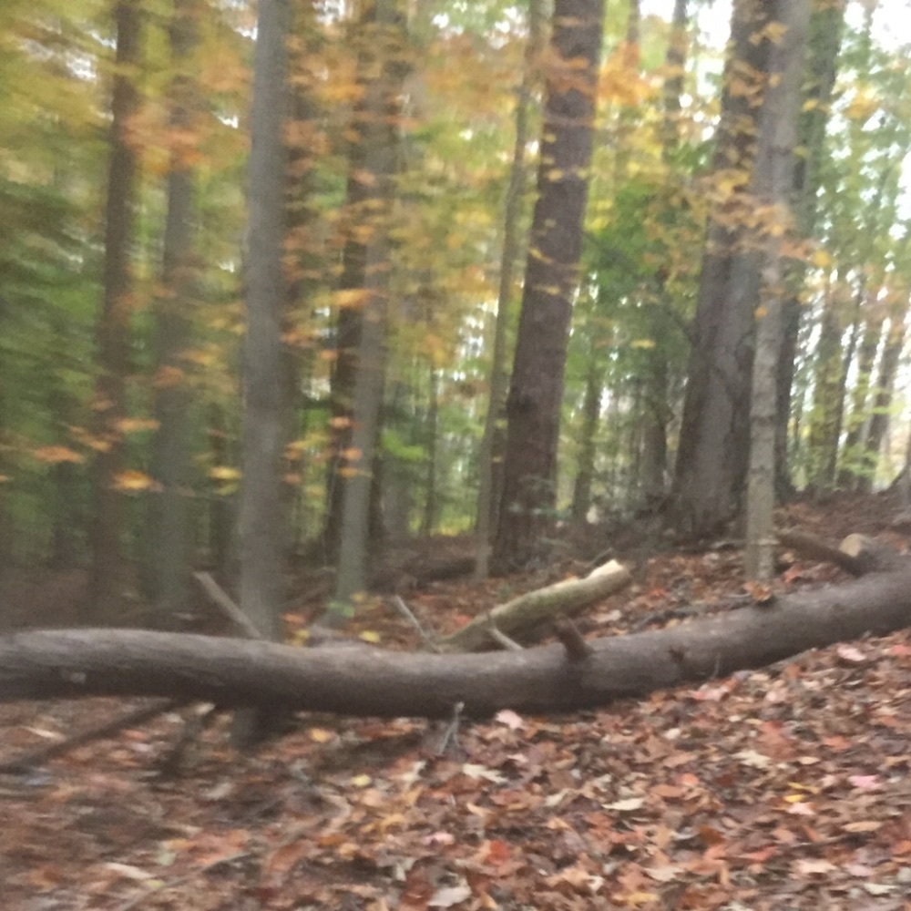 Meet your Posher, Maryann